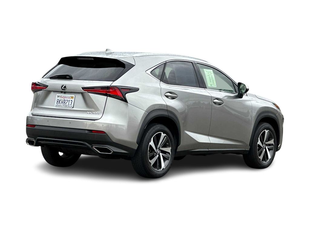 2019 Lexus NX 300 18