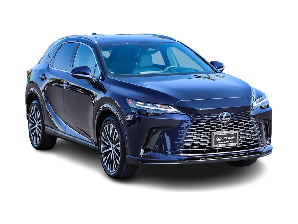 2024 Lexus RX 350 Premium+ 17