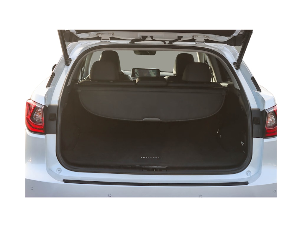 Thumbnail: 2020 Lexus RX - 15