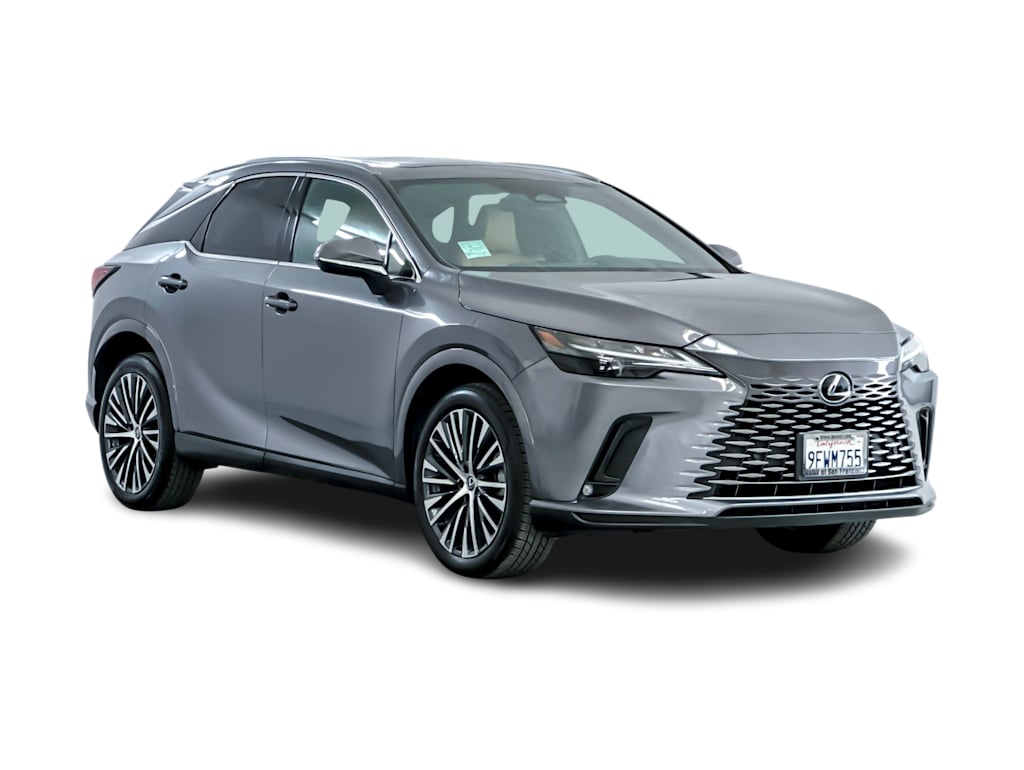 2023 Lexus RX 350 Premium+ 19