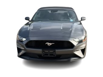 Thumbnail: 2023 Ford Mustang - 4