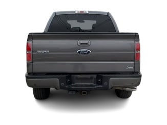 Thumbnail: 2010 Ford F-150 - 3