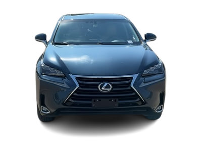 2015 Lexus NX Hybrid 300h 19