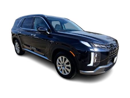 Thumbnail: 2025 Hyundai Palisade - 19