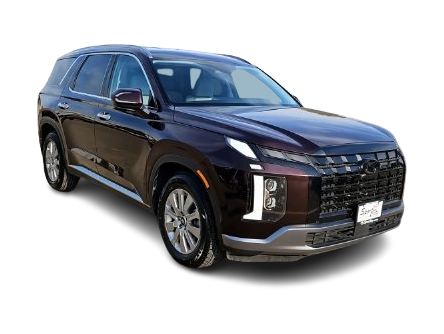 Thumbnail: 2025 Hyundai Palisade - 19