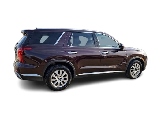 Thumbnail: 2025 Hyundai Palisade - 22