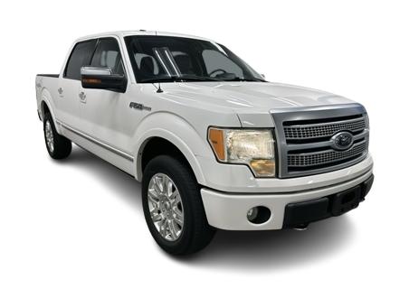 Thumbnail: 2010 Ford F-150 - 17