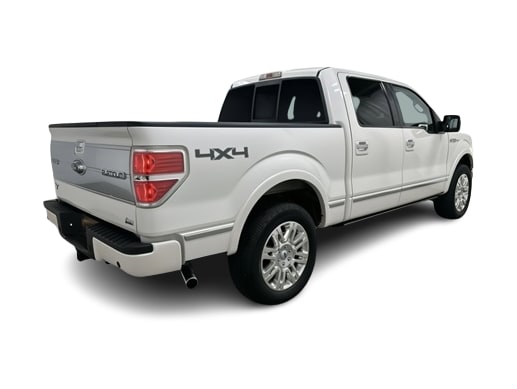 Thumbnail: 2010 Ford F-150 - 15
