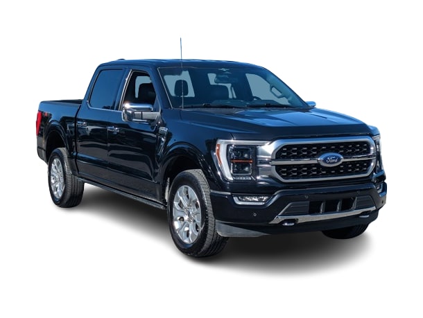 2023 Ford F-150 Platinum 23