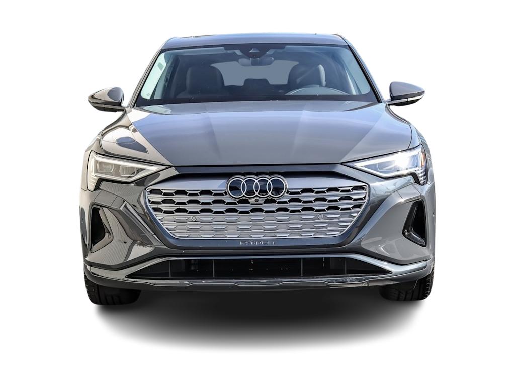 Thumbnail: 2024 Audi Q8 e-tron - 19