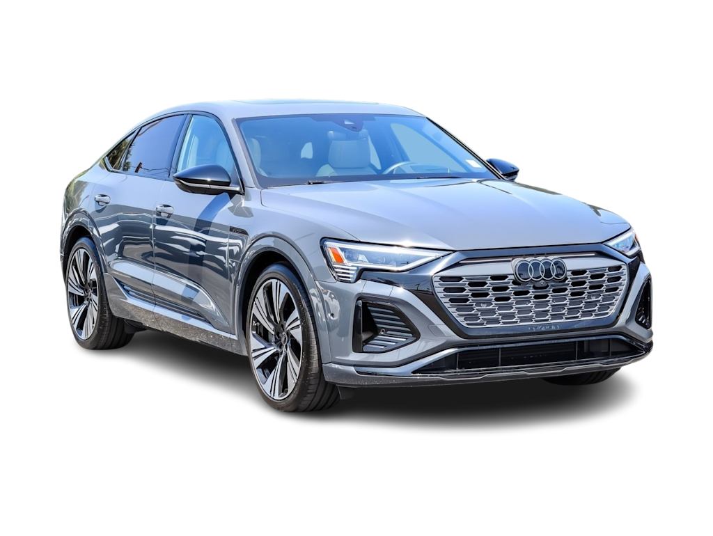 Thumbnail: 2024 Audi Q8 e-tron - 18