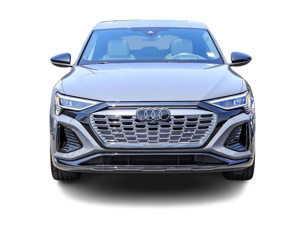 Thumbnail: 2024 Audi Q8 e-tron - 19