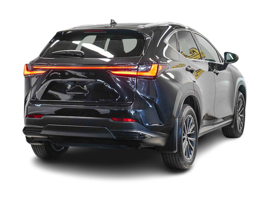 Thumbnail: 2025 Lexus ES - 18