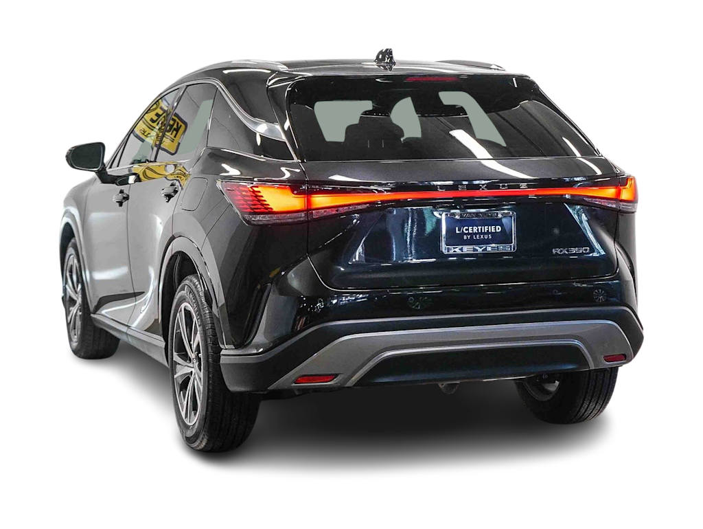 Thumbnail: 2024 Lexus RX - 3