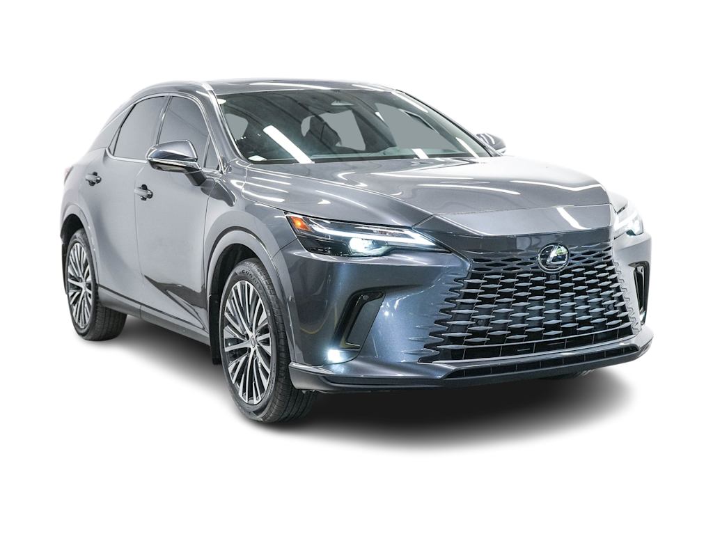 2024 Lexus RX 350 Premium+ 17