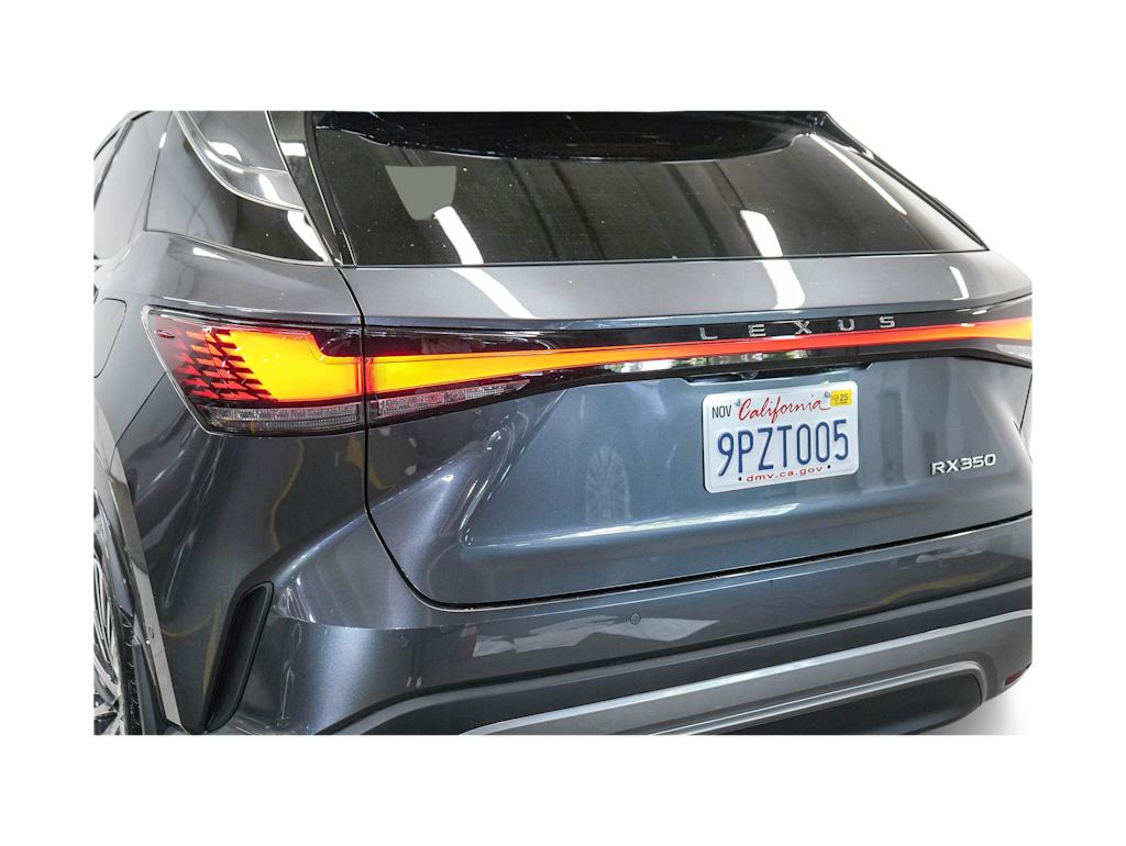 2024 Lexus RX 350 Premium+ 22