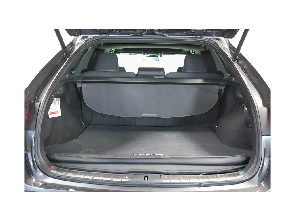 2024 Lexus RX 350 Premium+ 15