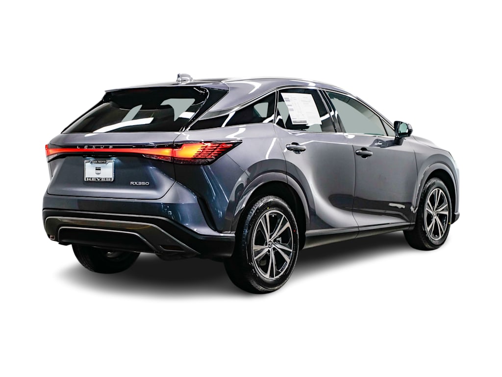 2023 Lexus RX 350 Premium 18