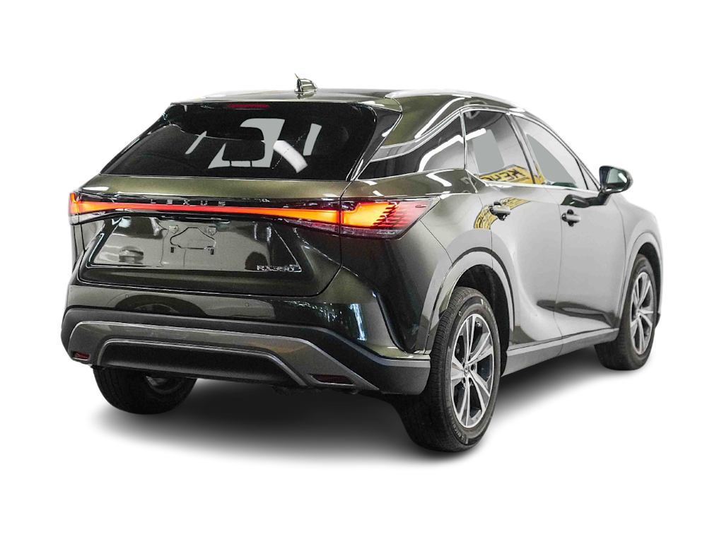 Thumbnail: 2025 Lexus RX - 17