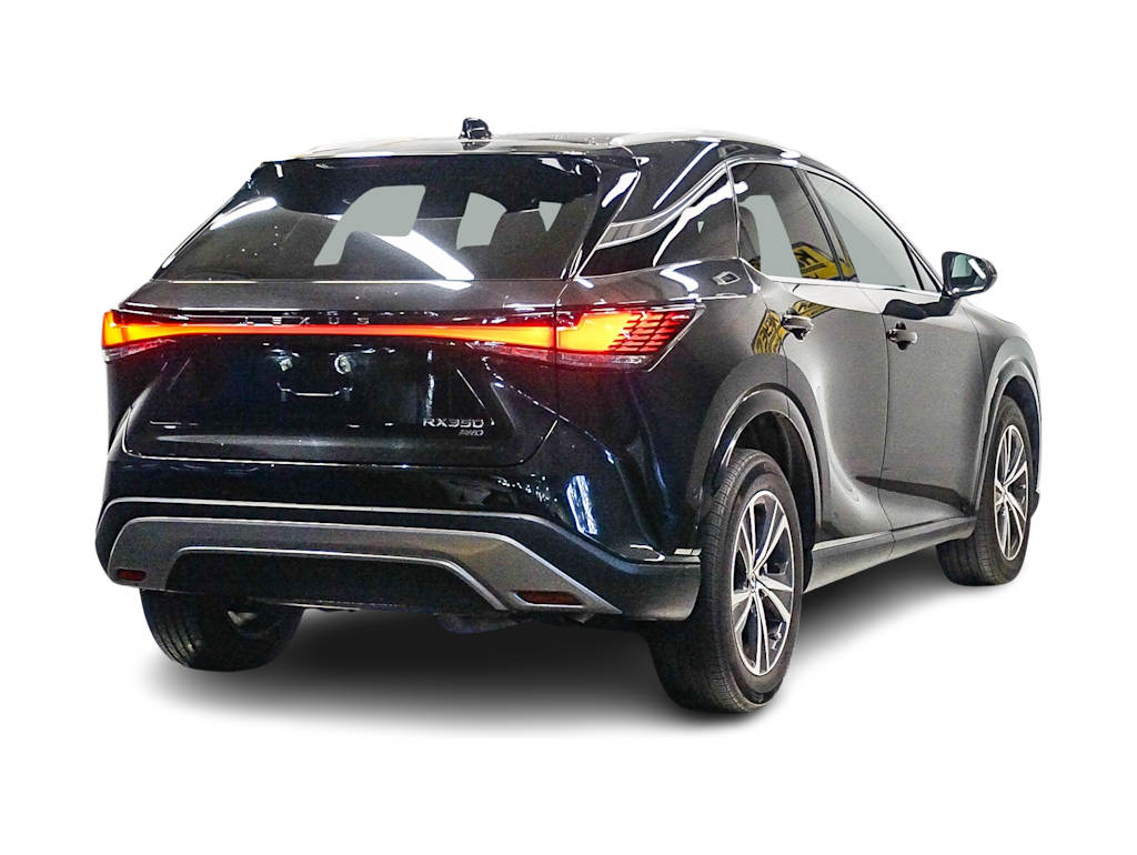 Thumbnail: 2024 Lexus RX - 17