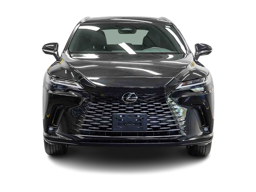 Thumbnail: 2025 Lexus RX - 19