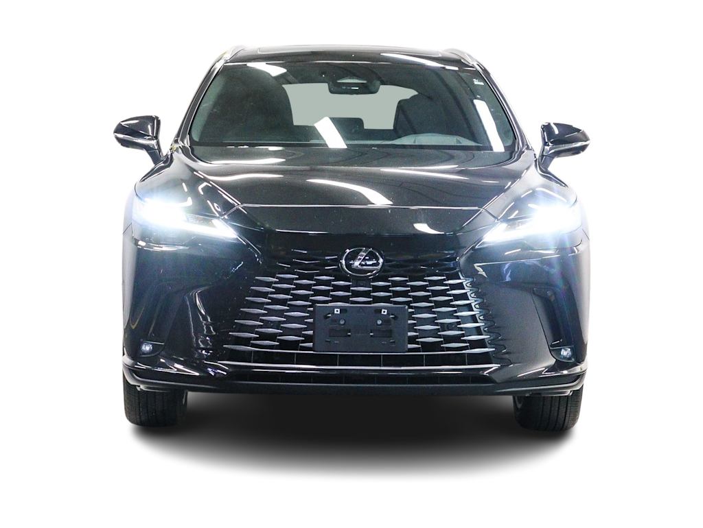 Thumbnail: 2025 Lexus RX - 18