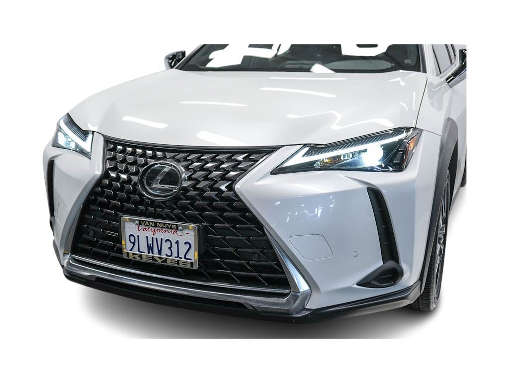 2024 Lexus UX 250h 19