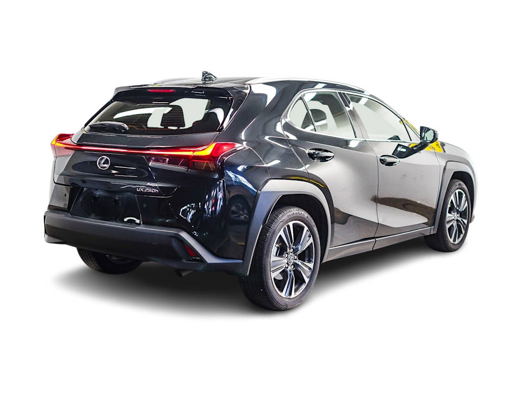 Thumbnail: 2024 Lexus UX - 16