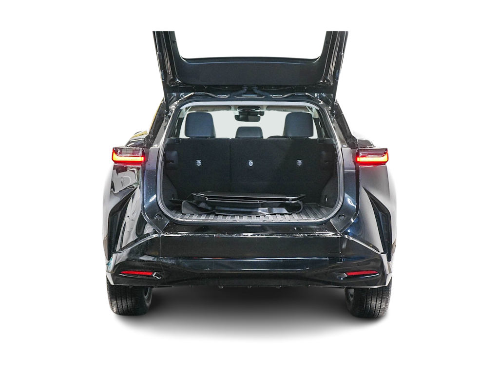 Thumbnail: 2025 Lexus RZ - 16