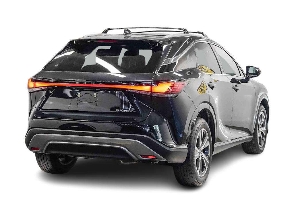 Thumbnail: 2024 Lexus RX - 19