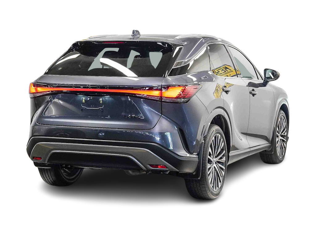 Thumbnail: 2025 Lexus RX - 19