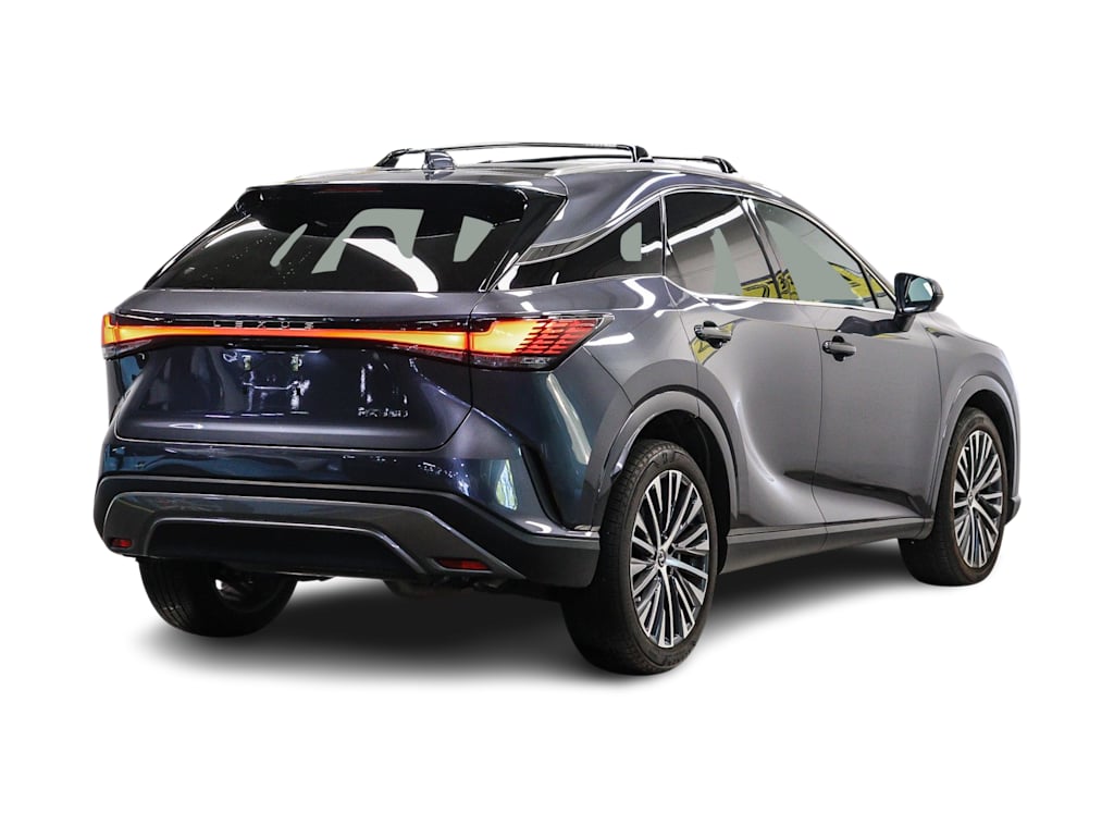 Thumbnail: 2025 Lexus RX - 15