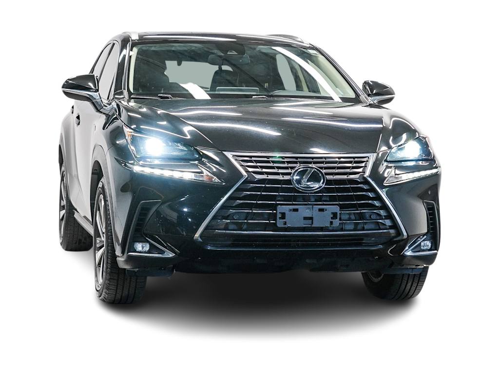 2020 Lexus NX 300 18