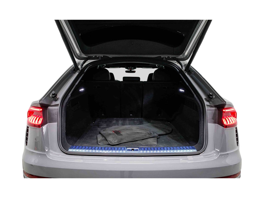 Thumbnail: 2024 Audi RS Q8 - 17