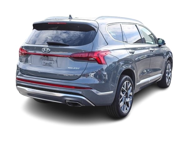 2021 Hyundai Santa Fe Calligraphy 19