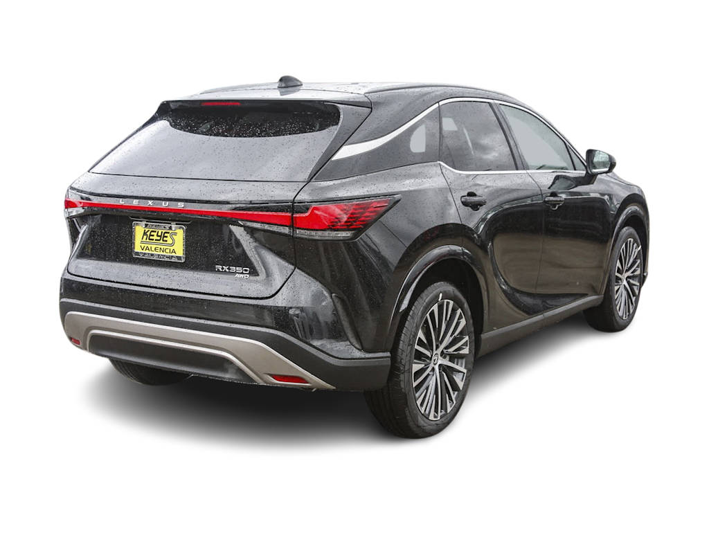 2023 Lexus RX 350 Premium+ 19