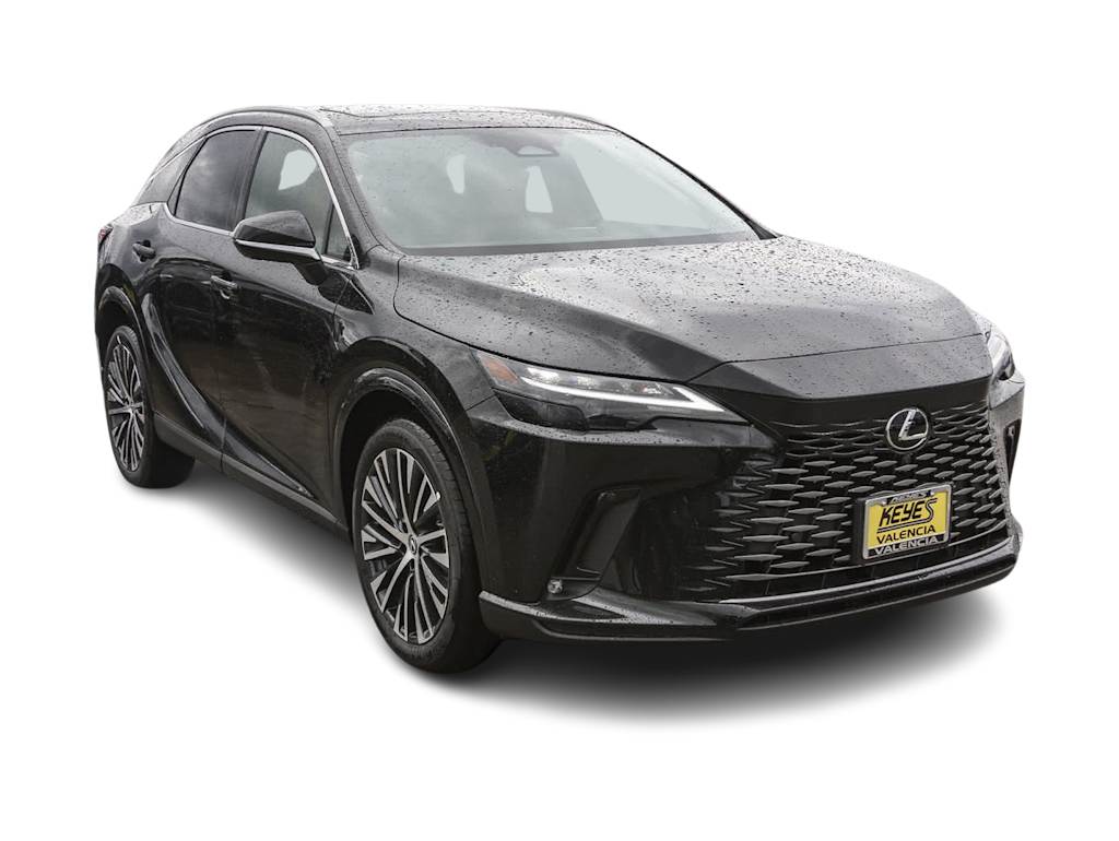 2023 Lexus RX 350 Premium+ 17