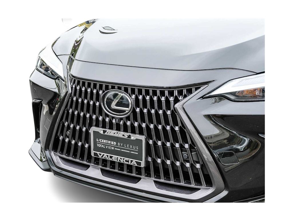 2023 Lexus NX 350 Luxury 19