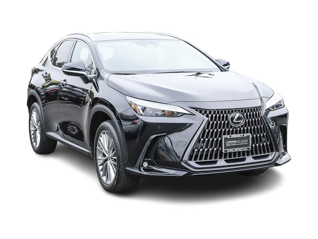 2023 Lexus NX 350 Luxury 16