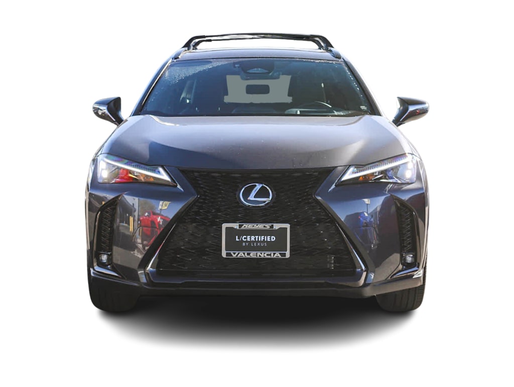 2025 Lexus UX 300h 5