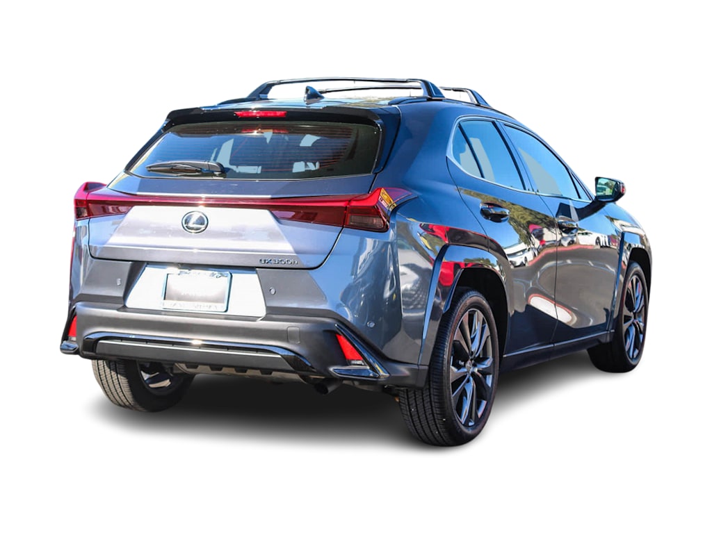 2025 Lexus UX 300h 20