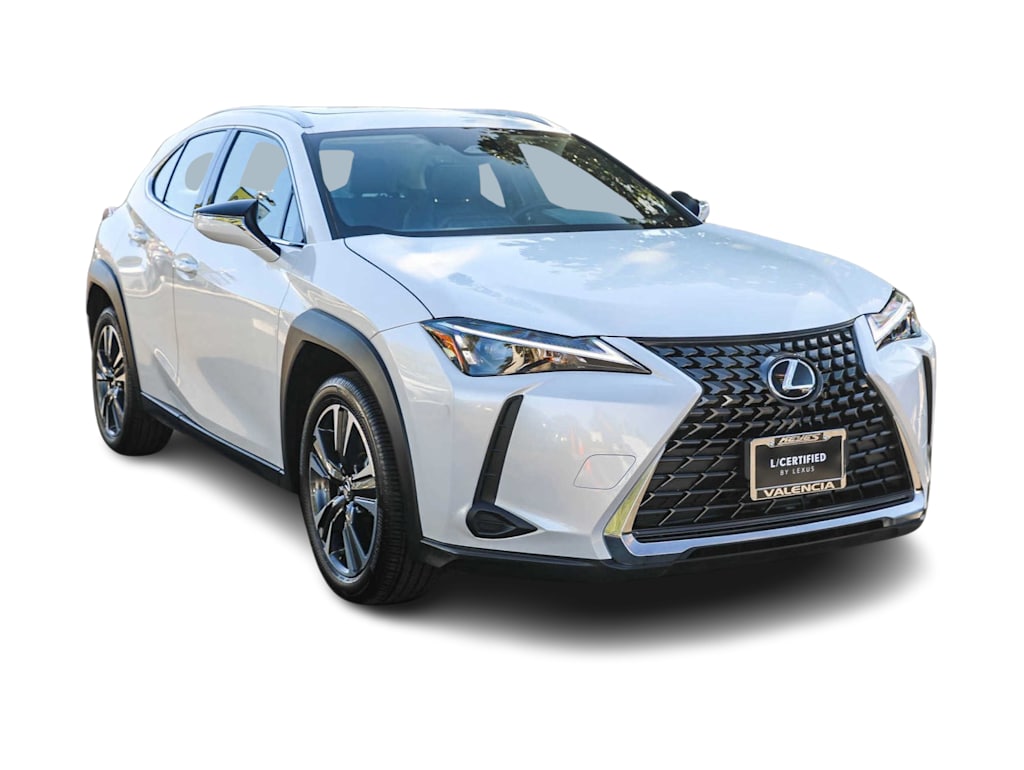 2025 Lexus UX 300h 19