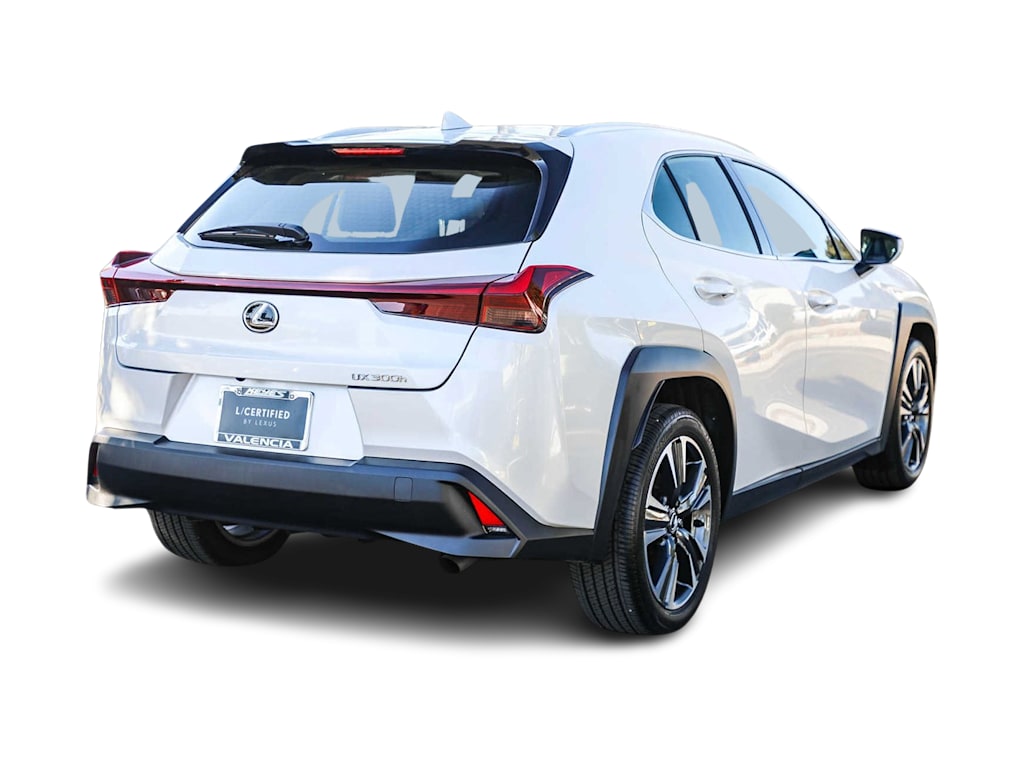 2025 Lexus UX 300h 20