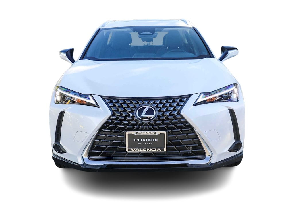 2025 Lexus UX 300h 5