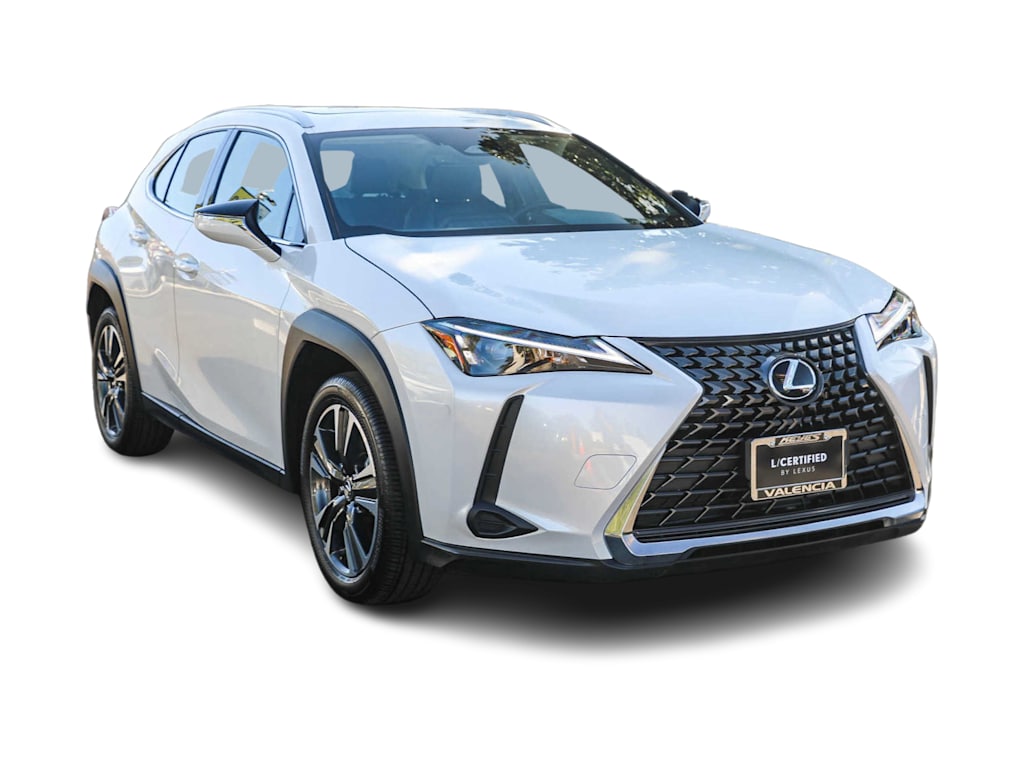 2025 Lexus UX 300h 18