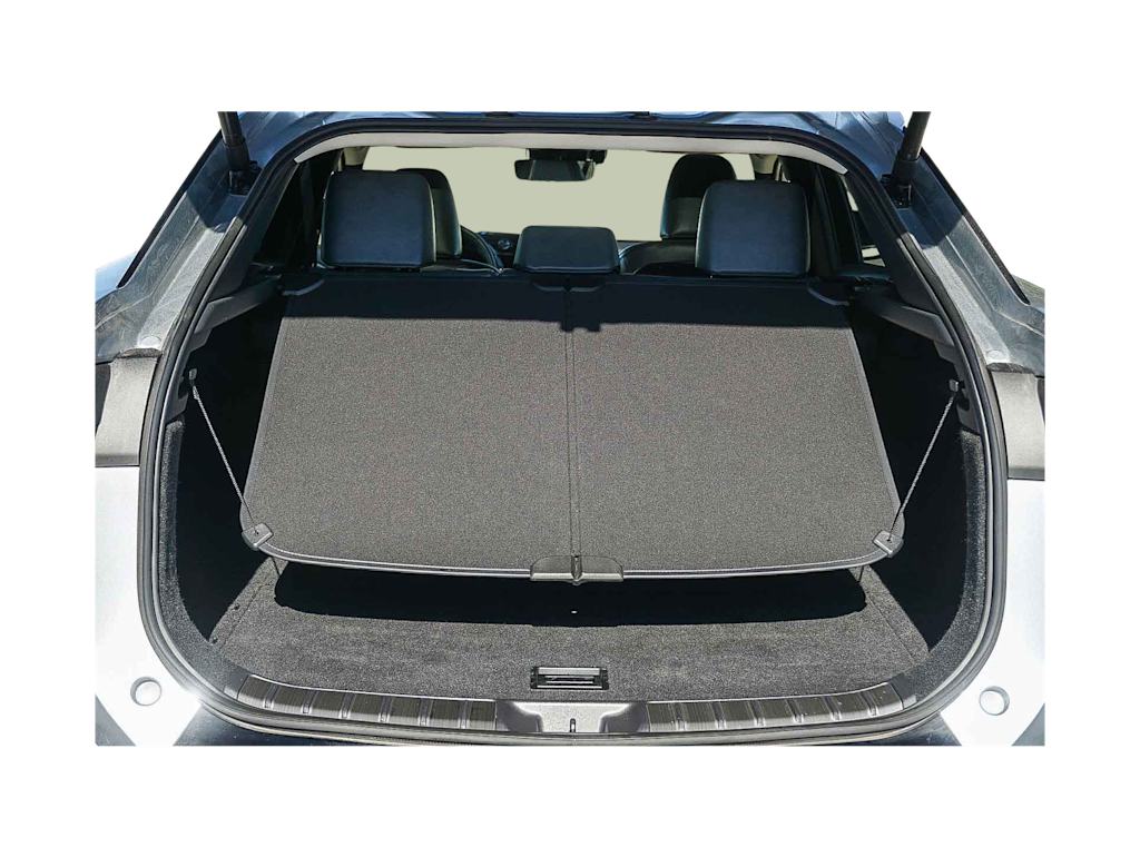 Thumbnail: 2024 Lexus RZ - 16