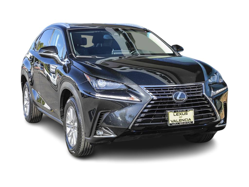 2019 Lexus NX 300 18