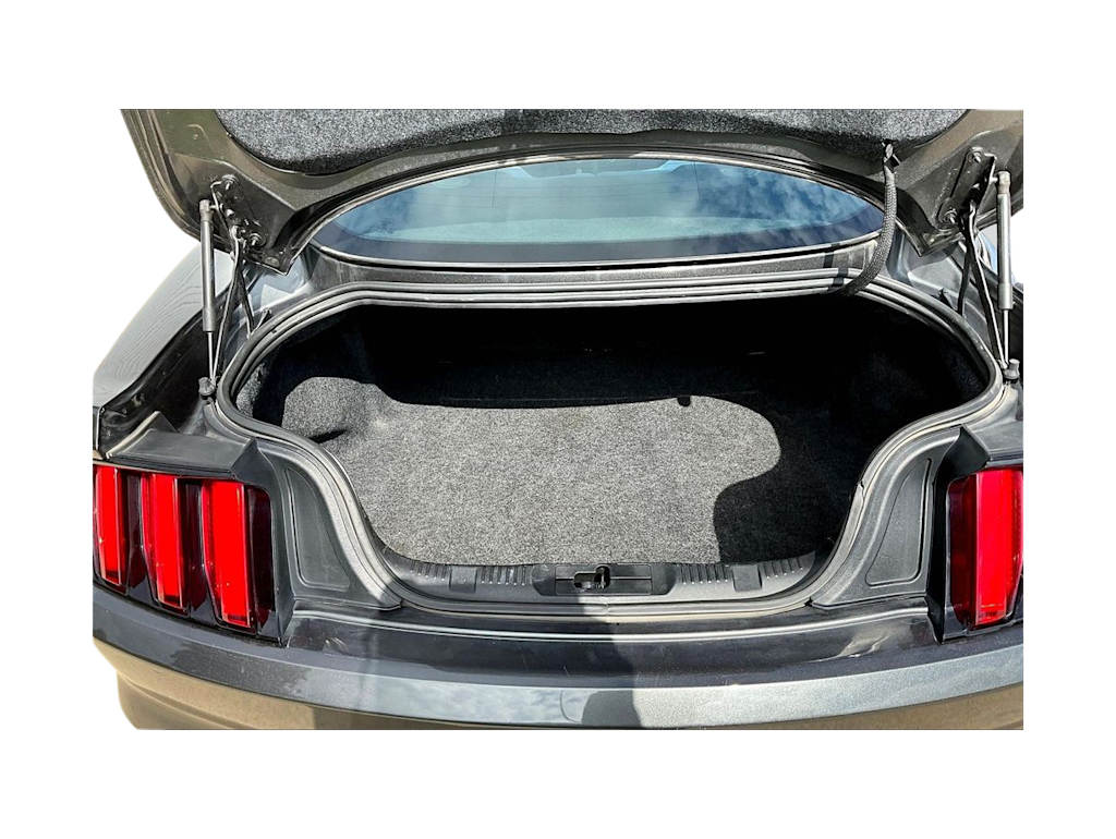 Thumbnail: 2017 Ford Mustang - 16