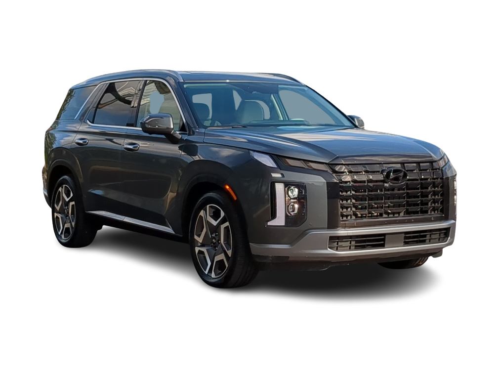 2024 Hyundai Palisade Limited 22