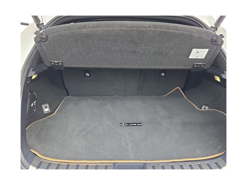 Thumbnail: 2020 Lexus NX - 19